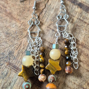 Oorbellen ster tigereye