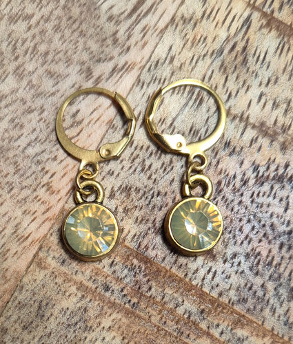 Goudkleurige oorbellen steentje