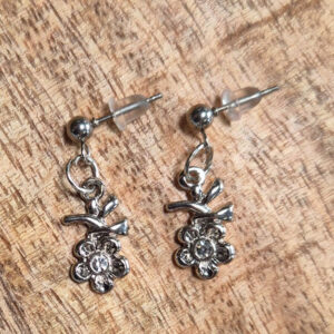 Zilverkleurige oorbellen